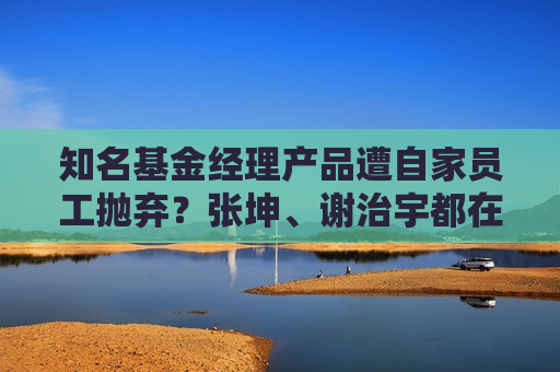 知名基金经理产品遭自家员工抛弃？张坤、谢治宇都在列，员工偏好变了？  第1张