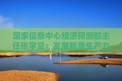 国家信息中心经济预测部主任张宇贤：发展新质生产力的“三不”与“四法”