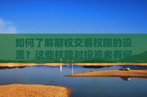 如何了解期权交易权限的设置？这些权限对投资者有何限制和机会？  第1张