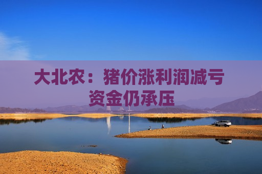 大北农：猪价涨利润减亏 资金仍承压