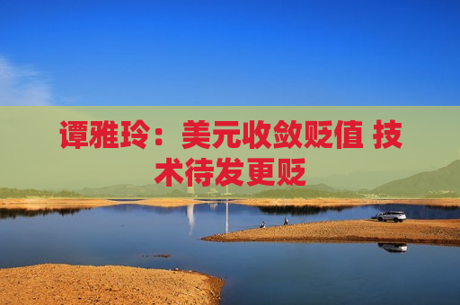谭雅玲：美元收敛贬值 技术待发更贬