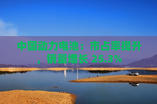 中国动力电池：市占率提升，销量增长 25.3%  第1张