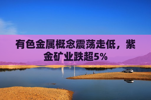 有色金属概念震荡走低，紫金矿业跌超5%