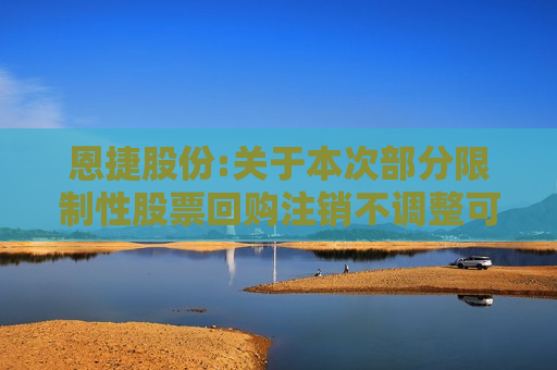 恩捷股份:关于本次部分限制性股票回购注销不调整可转换公司债券转股价格的公告  第1张