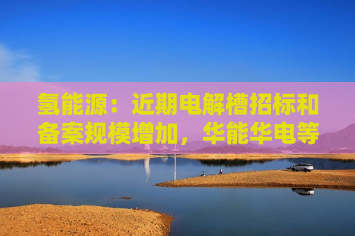 氢能源：近期电解槽招标和备案规模增加，华能华电等公司招标规模大于预期  第1张