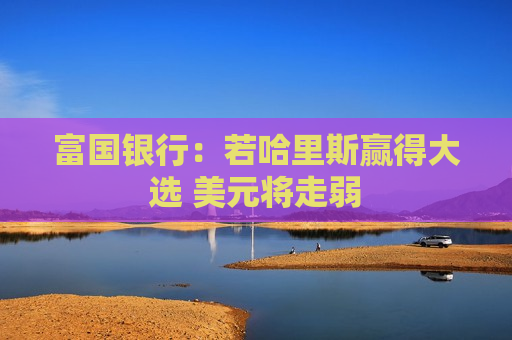 富国银行：若哈里斯赢得大选 美元将走弱  第1张