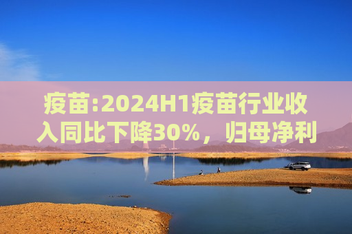 疫苗:2024H1疫苗行业收入同比下降30%，归母净利润同比下降55%  第1张