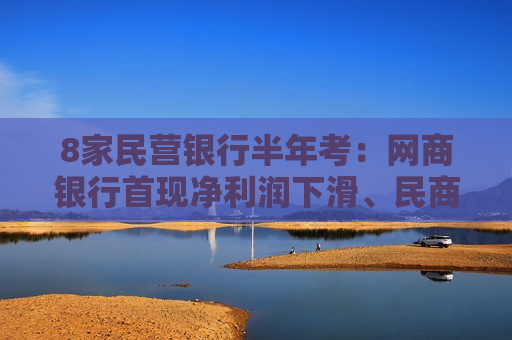 8家民营银行半年考：网商银行首现净利润下滑、民商银行营收净利双降  第1张