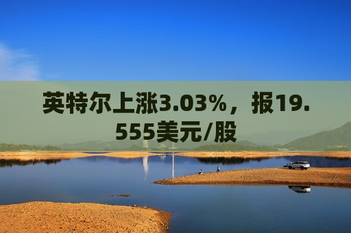 英特尔上涨3.03%，报19.555美元/股  第1张