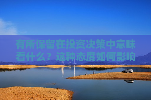 有所保留在投资决策中意味着什么？这种态度如何影响策略？