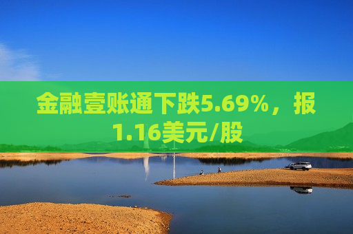 金融壹账通下跌5.69%，报1.16美元/股