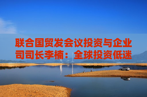 联合国贸发会议投资与企业司司长李楠：全球投资低迷与全球产业链结构调整有关  第1张