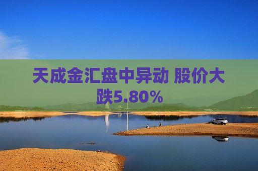 天成金汇盘中异动 股价大跌5.80%  第1张
