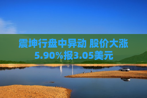 震坤行盘中异动 股价大涨5.90%报3.05美元  第1张