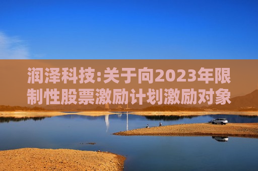 润泽科技:关于向2023年限制性股票激励计划激励对象授予预留部分限制性股票的公告