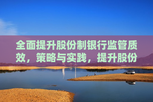 全面提升股份制银行监管质效，策略与实践，提升股份制银行监管质效，策略与实践探索，提升股份制银行监管质效，策略与实践探索  第1张