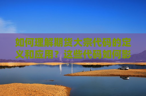 如何理解期货大宗代码的定义和应用？这些代码如何影响市场交易？  第1张