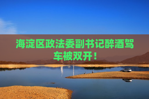 海淀区政法委副书记醉酒驾车被双开！