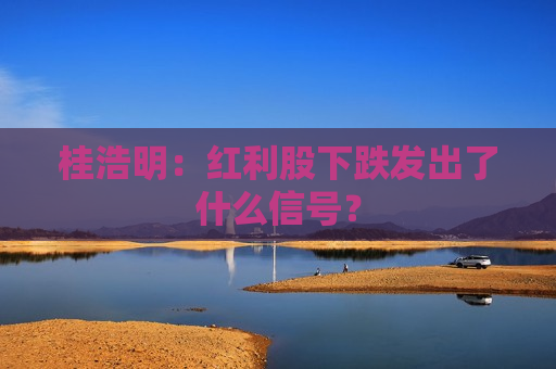 桂浩明：红利股下跌发出了什么信号？  第1张