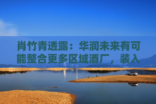 肖竹青透露：华润未来有可能整合更多区域酒厂，装入金种子上市公司平台  第1张