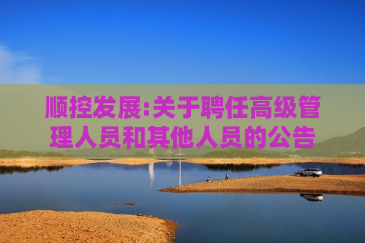 顺控发展:关于聘任高级管理人员和其他人员的公告