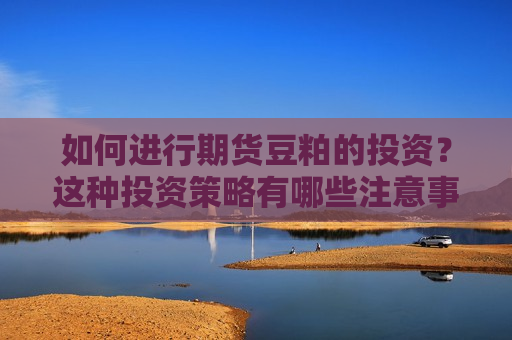 如何进行期货豆粕的投资？这种投资策略有哪些注意事项？  第1张