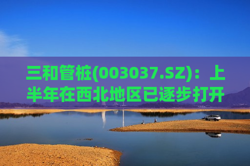 三和管桩(003037.SZ)：上半年在西北地区已逐步打开市场，实现营收165.98万元  第1张