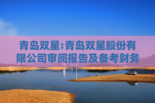 青岛双星:青岛双星股份有限公司审阅报告及备考财务报告2023年度及2024年1-6月