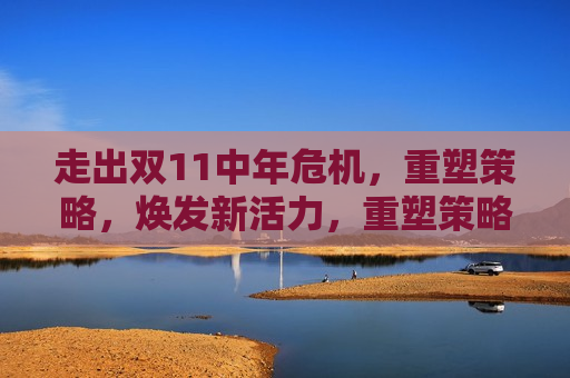 走出双11中年危机，重塑策略，焕发新活力，重塑策略，走出中年危机，焕发新活力迎接双11，重塑策略，走出中年危机，迎接新活力双11  第1张