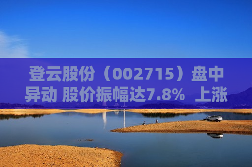 登云股份（002715）盘中异动 股价振幅达7.8%  上涨4.47%（09-25） 第1张