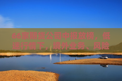 66家期货公司中报放榜，低迷行情下，境外业务、风险管理成转型胜负手