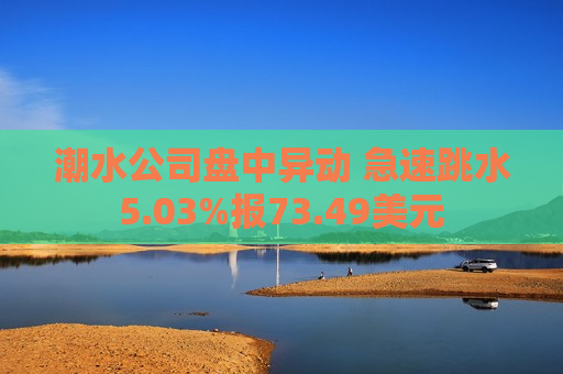 潮水公司盘中异动 急速跳水5.03%报73.49美元