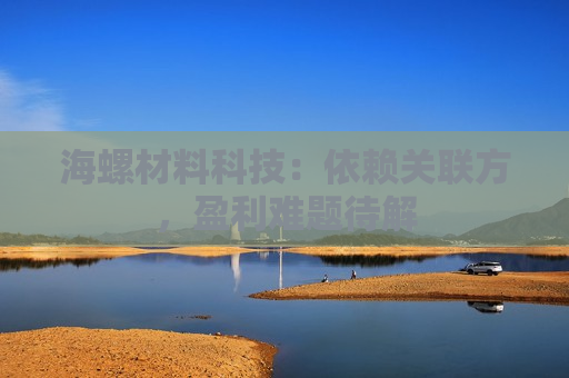 海螺材料科技:依赖关联方,盈利难题待解 第1张 海螺材料科技:依赖关联方,盈利难题待解 第1张