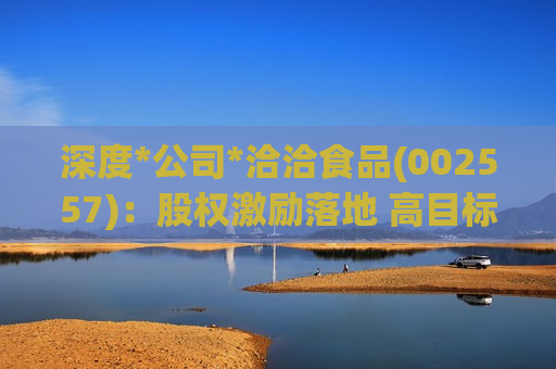 深度*公司*洽洽食品(002557)：股权激励落地 高目标彰显未来发展信心  第1张