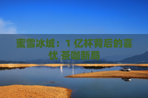 蜜雪冰城：1 亿杯背后的喜忧 茶咖新局  第1张