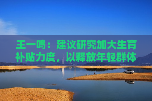 王一鸣：建议研究加大生育补贴力度，以释放年轻群体消费潜力  第1张