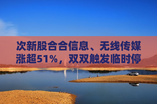 次新股合合信息、无线传媒涨超51%，双双触发临时停牌