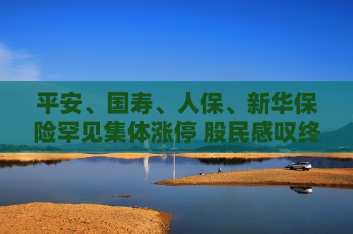 平安、国寿、人保、新华保险罕见集体涨停 股民感叹终于解套了！  第1张