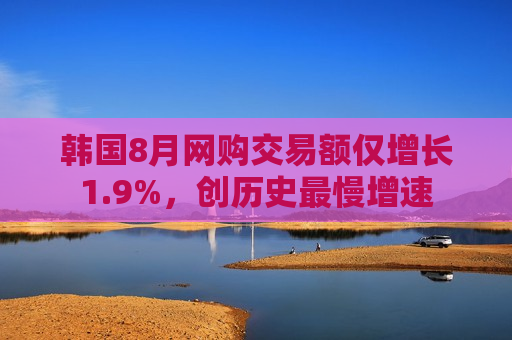 韩国8月 *** 交易额仅增长1.9%，创历史最慢增速  第1张