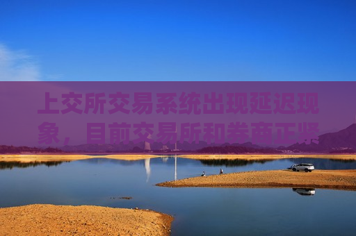 上交所交易系统出现延迟现象，目前交易所和券商正紧急排查和修复中