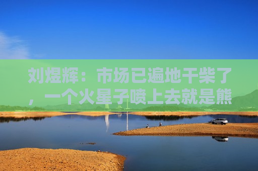 刘煜辉：市场已遍地干柴了，一个火星子喷上去就是熊熊大火  第1张