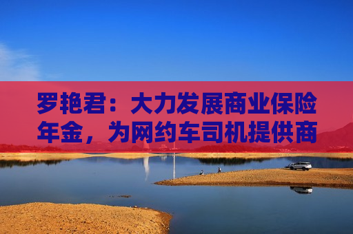 罗艳君：大力发展商业保险年金，为网约车司机提供商业养老保障受好评  第1张