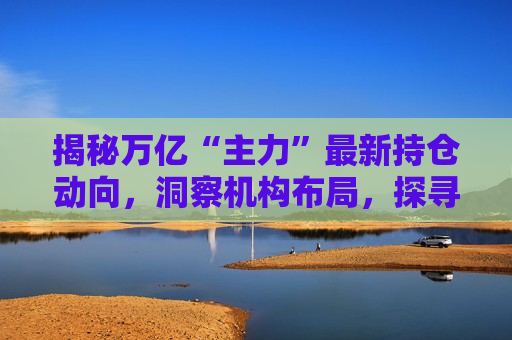 揭秘万亿“主力”最新持仓动向，洞察机构布局，探寻未来投资风向，揭秘机构最新持仓动向，探寻未来投资风向，揭秘机构最新持仓动向，掌握未来投资风向  第1张