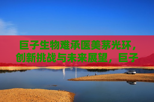 巨子生物难承医美茅光环，创新挑战与未来展望，巨子生物面临创新挑战，未来医美市场的前景与展望