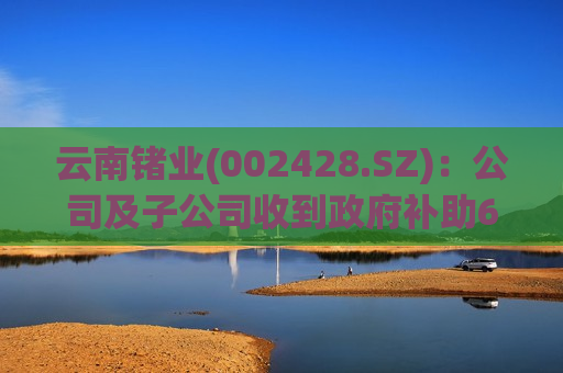 云南锗业(002428.SZ)：公司及子公司收到 *** 补助617.80万元