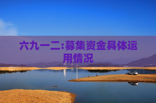 六九一二:募集资金具体运用情况  第1张
