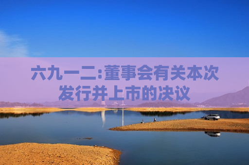 六九一二:董事会有关本次发行并上市的决议  第1张