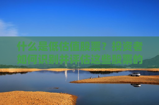 什么是低估值股票？投资者如何识别并评估这些股票的价值？