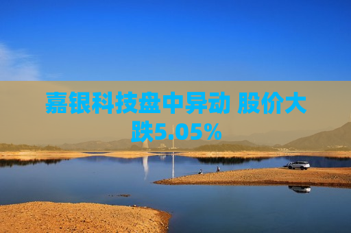 嘉银科技盘中异动 股价大跌5.05%  第1张