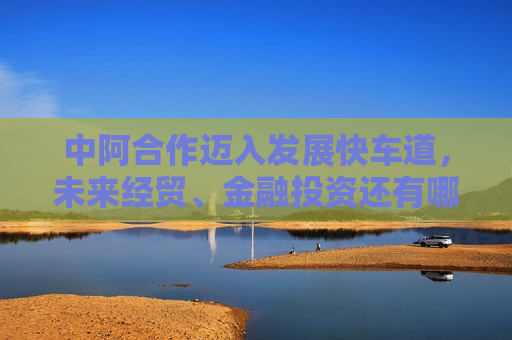 中阿合作迈入发展快车道，未来经贸、金融投资还有哪些机会？